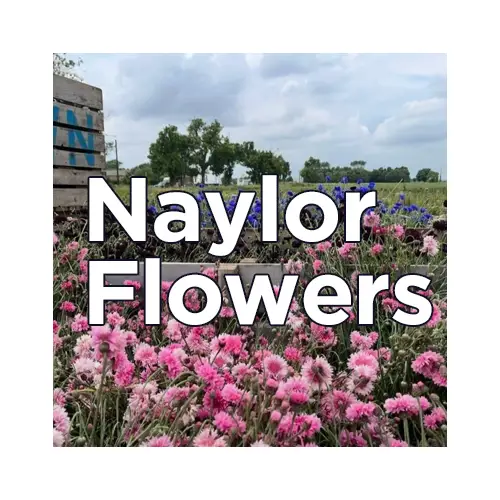 Naylor Flowers