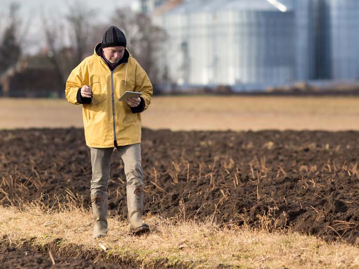 Agronomist walking a field.