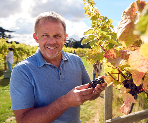 Vineyard manager.