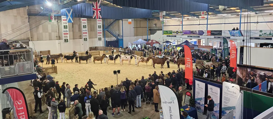 Rural shows, such as the Dairy Show (pictured) can be a fantastic showcase of our industry and the people which make it great.
