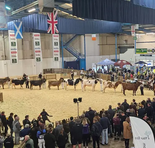 Country shows an be a showcase of our professionalism and pride, as well as our produce.