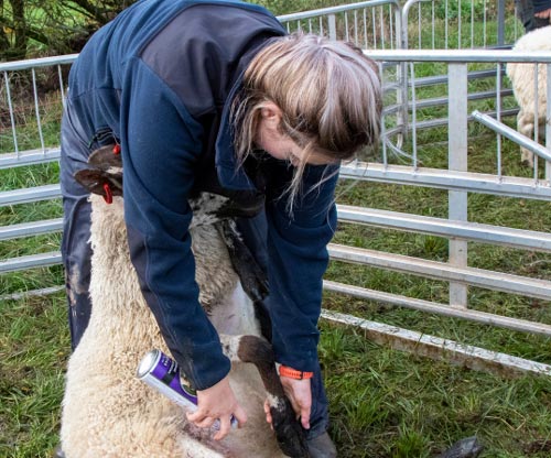 Agriculture and horticultural businesses must improve their ability to recruit and retain staff from both inside and outside the industry.