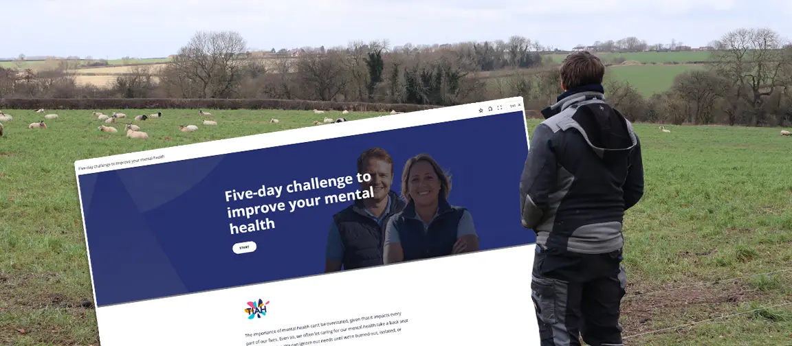 Our module can help you build the positive habits to improve your mental health.