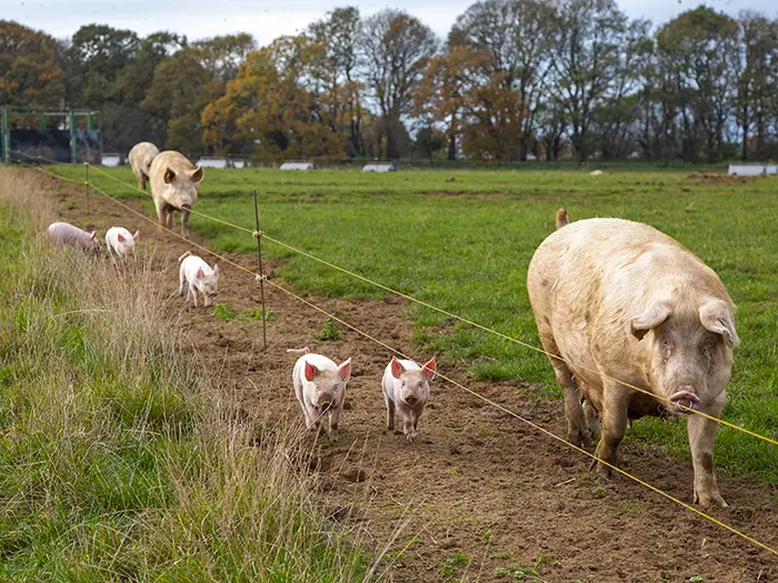 Sign up to our free course to get an insight into sustainable food production and how farmers and growers are working to preserve our environment.