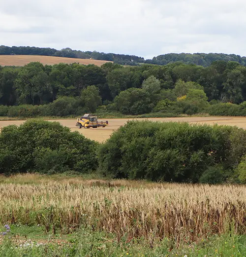 Identify the risks that could threaten your soil's health with this online module.