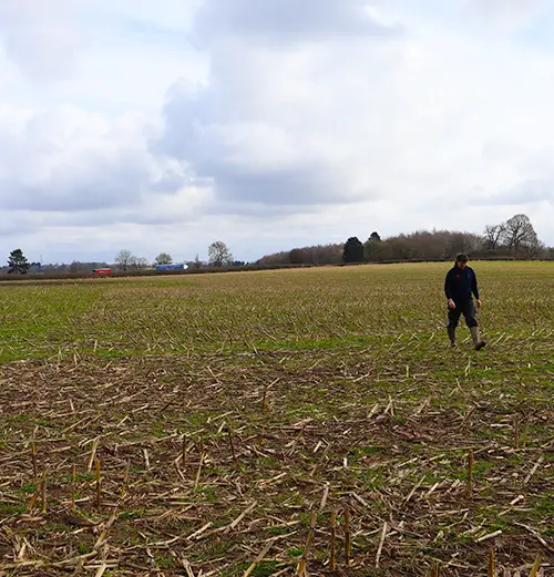 Dig deeper into the cultivation methods and other tools available to strengthen your soils.