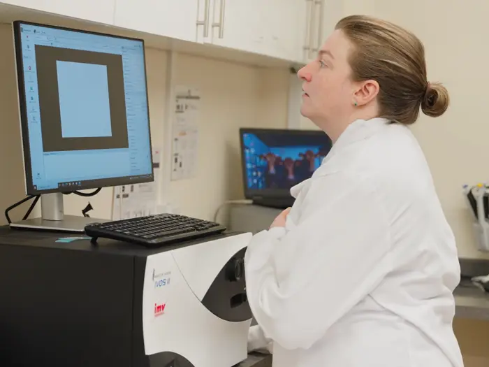 Genetic consultants help farmers and growers breed healthy, productive crops and livestock. Picture: North Star Digital.